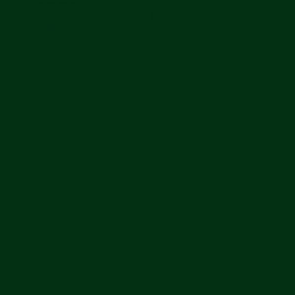 Fusion paint manor green - Afbeelding 4
