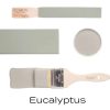 fusion paint meubelverf kwast en kleur eucalyptus