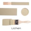 Fusion paint lichen - Afbeelding 2