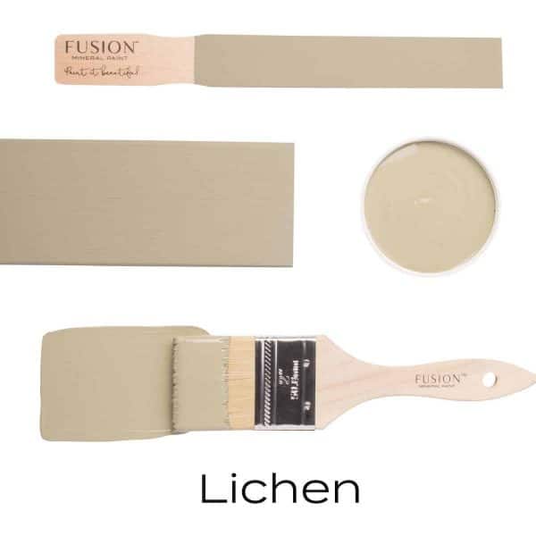 Fusion paint lichen - Afbeelding 2