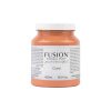 Fusion paint coral